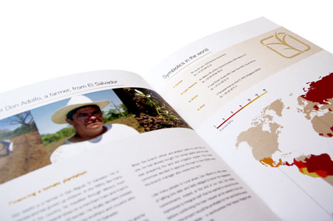 rapport annuel Symbiotics 2010