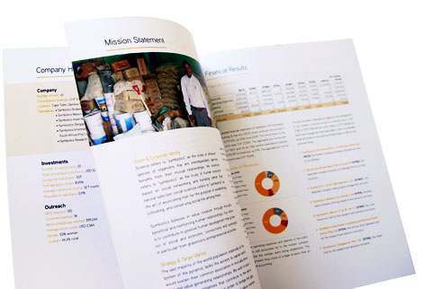rapport annuel Symbiotics 2010
